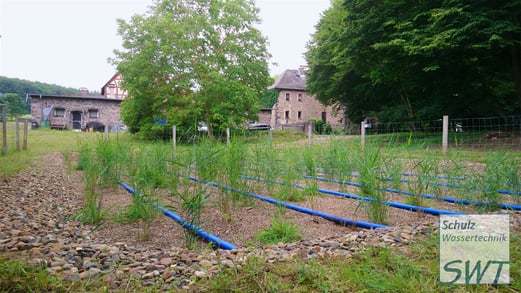 Pflanzenkläranlange auf einem Hofgut, D-Lich