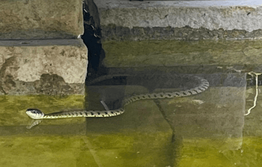 (Bild: Leserreporterin buebikernews)