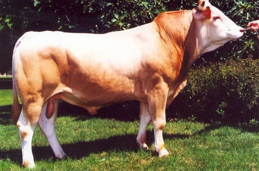 Platon FR3802224644 - photo UCEAR