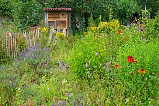 Naturnaher Garten (Foto: Thomas Staab - LBV - Bildarchiv) 