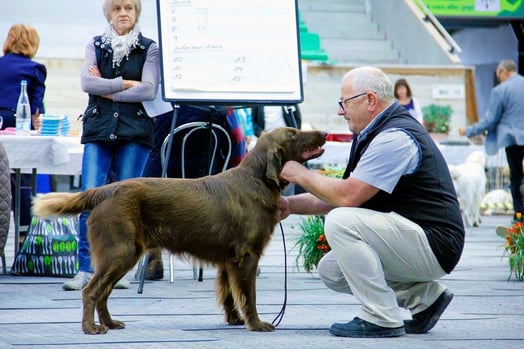 Bild: Maya Bindschedler