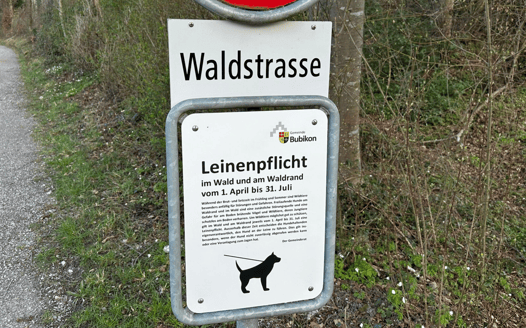 (Bild: buebikernews)