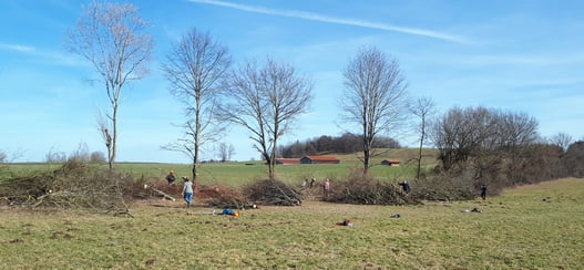 Pflege einer Hecke bei Neufahrn, Foto: Sabine Tappertzhofen