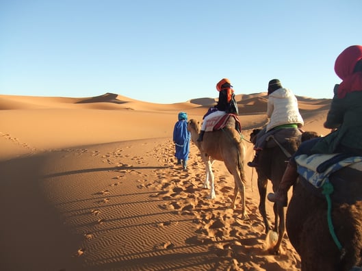 音のない広世界。大な砂漠を、ラクダの背中に揺られて移動します。