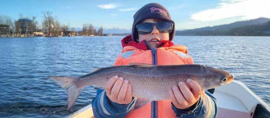 Mit den richtigen Felchenhegenen ist der Fangerfolg greifbar nahe. Jetzt eine tolle Felchenhegene günstig online kaufen