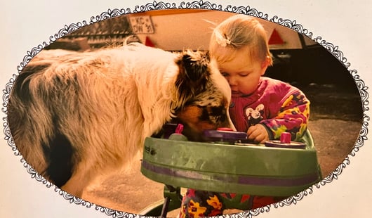 Australian Shepherd Hündin Shorny und Kleinkind Jana