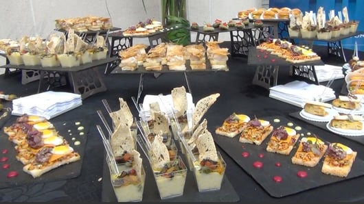 Turismo Tv, Televisión Turística