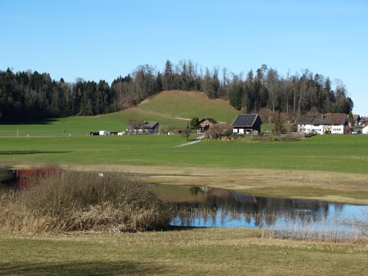 Der Hombergchropf, höchster Punkt der Gemeinde Bubikon (Bild: buebikernews)