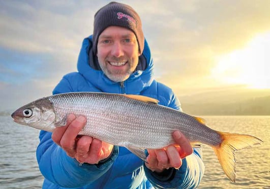 Mit den Stucki Fishing Hegenen ist der Fangerfolg garantiert. Jetzt eine Felchenhegene günstig online kaufen.