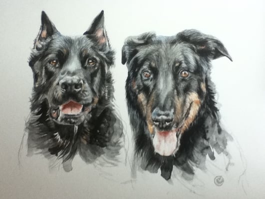 Mes beaucerons