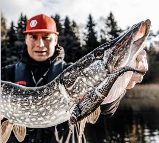 Rapala Promotion Bild - Grosshecht gefangen mit X-Rap Wobbler