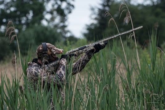 Gänsejagd mit Lockbild in Deutschland