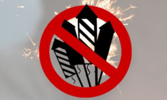 (Bild: feuerwerksinitiative.ch)