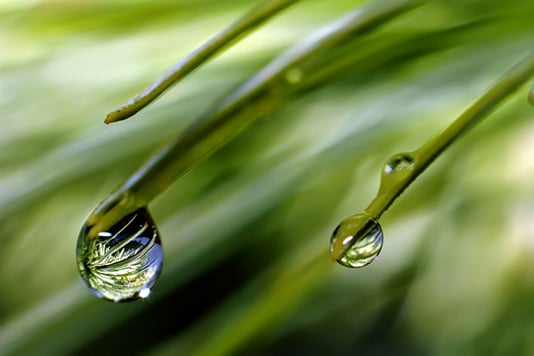 Ionizer Plus | Alkaline Water’s Cellular Benefits