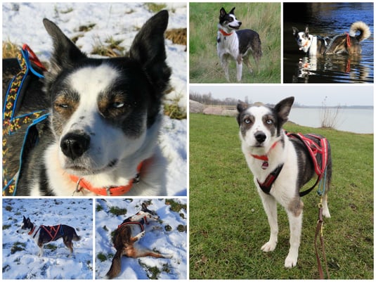 Herbst/Winter 2020/2021