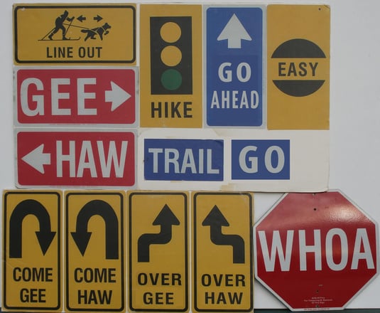 Quelle: unbekannt, eigene Ergänzungen