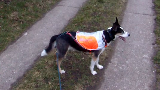 Ayla mit dem "Refelection Blanket"