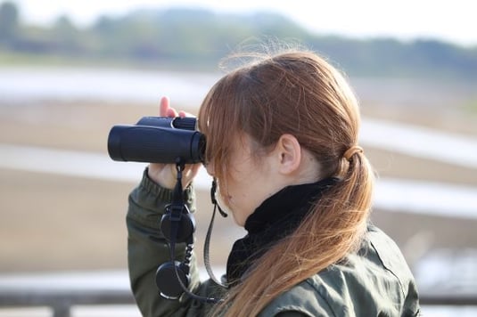 Vögel beobachten und zählen bei der Stunde der Garten/Wintervögel  Foto: Peter Bria