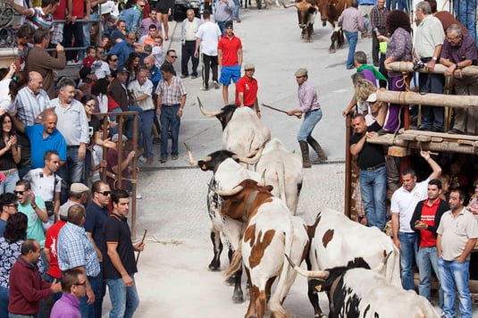 feria toros castril de la peña