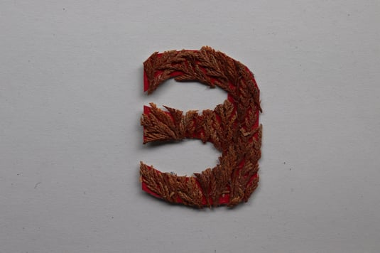 和洋食道Ecruのお父さんによる版（Ｅ）