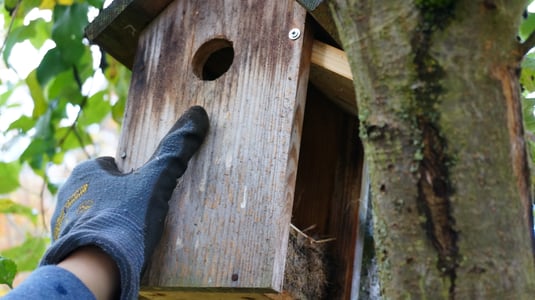 Nistkastenpflege. Foto: Peter Bria - LBV Bildarchiv