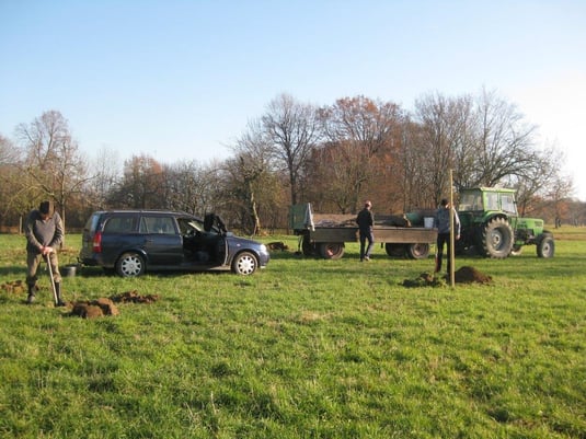 Anpflanzung von seltenen Obstbaumsorten (c) Heinrich Beigel