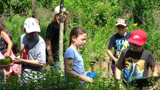 Kinder im Grundschulalter betrachten und pflücken Kräuter im Kräutergarten