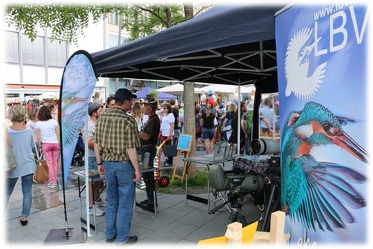 Unser Infostand bei Memmingen blüht. Foto: Hermann Kunze