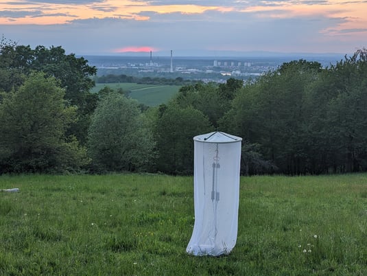 Ein Leuchtturm am Erbig (M. Bodsch)