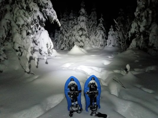 Schneeschuhtour bei Nacht mit Stirnlampe im Schwarzwald
