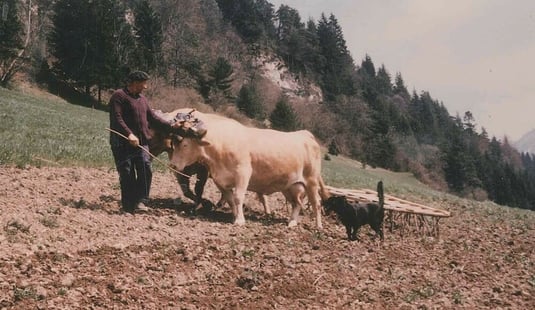 Labour ©Serge Bonnet 