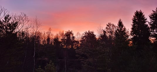 Sonnenaufgang im Pioniergelände (Foto: Stefanie Zysk)