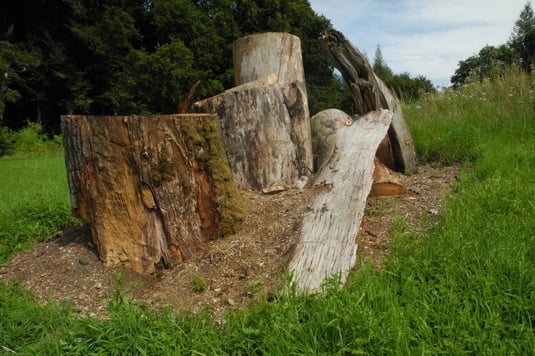 Brutmeiler für den Hirschkäfer bei Delling (Foto: Horst Guckelsberger) 