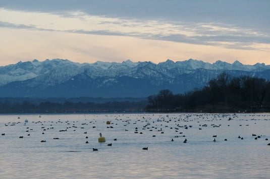 Ammersee Westufer bei Riederau (Foto: Christian Niederbichler) 