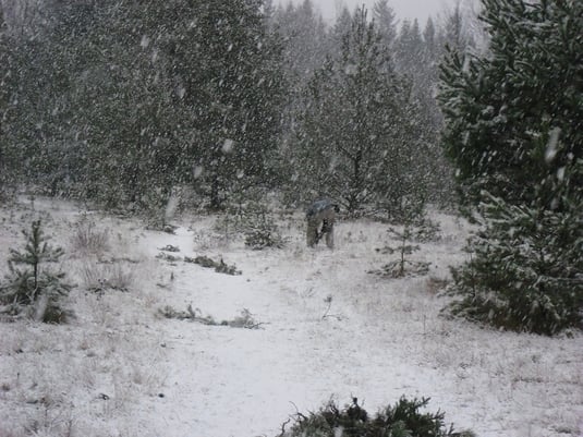 Arbeitseinsatz beim Schneetreiben 