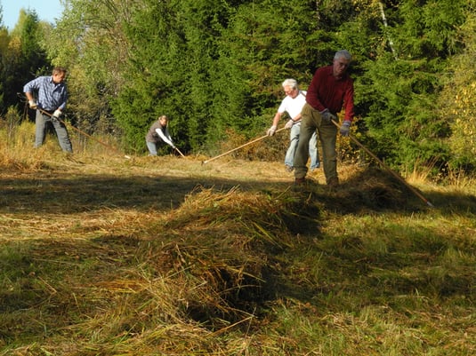 Abheuen am Halbtrockenrasen Birkenbuckel (Foto: H.Guckelsberger)