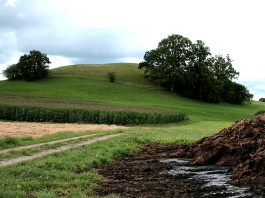 Bäckerbichel : Ein Tumulus - eiszeitlicher Schuttkegel mit "Kalkmagerrasen", darunter "Artenreiche Mähwiese" , dann landwirtschaftliche Nutzfläche (Foto : Horst Guckelsberger) 