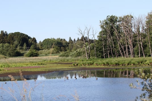 Erlinger Seacht´n (Foto: Ursula Wiegand) 