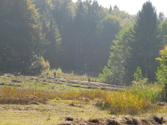 Foto: Horst Guckelsberger 