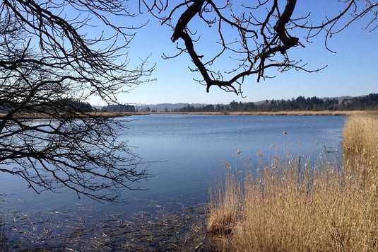 Maisinger See (Foto: Ursula Wiegand)