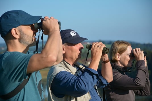 ASO Ornis bei der Suche nach Greifvögeln (Foto: Christiane Hesel)