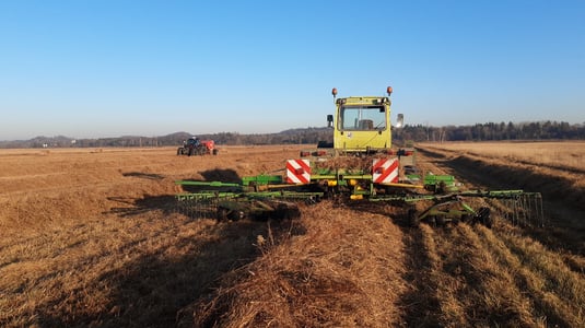 Foto: Streuwiesen-Pflege