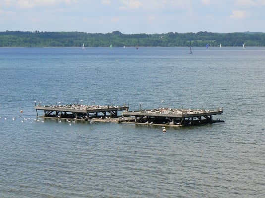 Flussseeschwalbenfloß in der Bucht von St.Heinrich (Foto: Andrea Gehrold) 