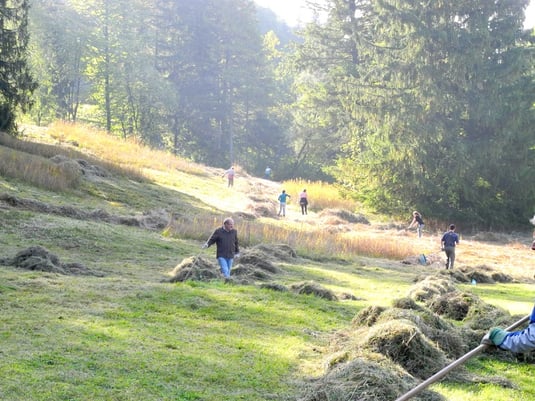 Mäharbeiten am Kalkflachmoor „Lange Wiese (Foto: Horst Guckelsberger) 