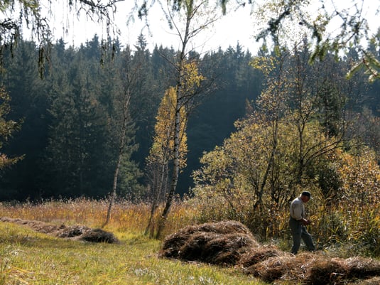 Mahd und Abheuen Pfarrwiese (Foto: H.Guckelsberger)