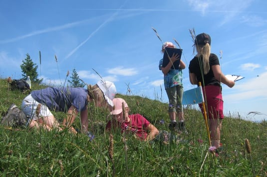 Foto: Monika Schirutske - LBV-Bildarchiv 