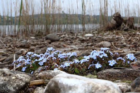 (Foto: Peter Witzan)