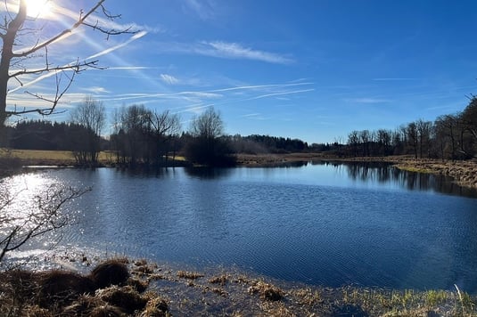 Erlinger Seacht´n (Foto: Ursula Wiegand) 