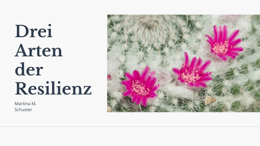 Drei Arten der Resilienz. Von Martina M. Schuster. Bildquelle Canva. 