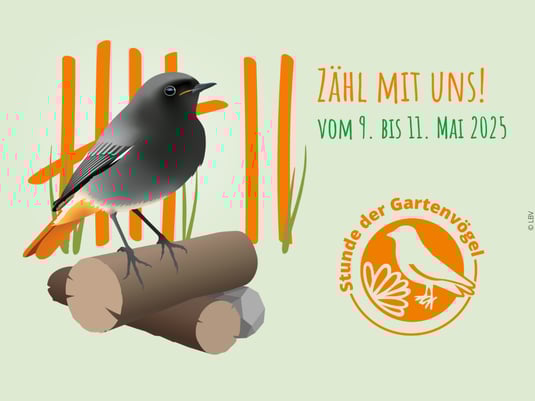 Logo Stunde der Gartenvögel 2025